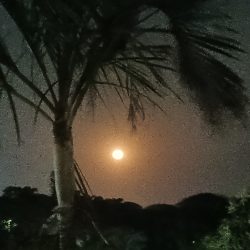 20240820_190216
